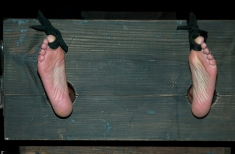 Naked brunette is forced to orgasm after being tortured in bondage