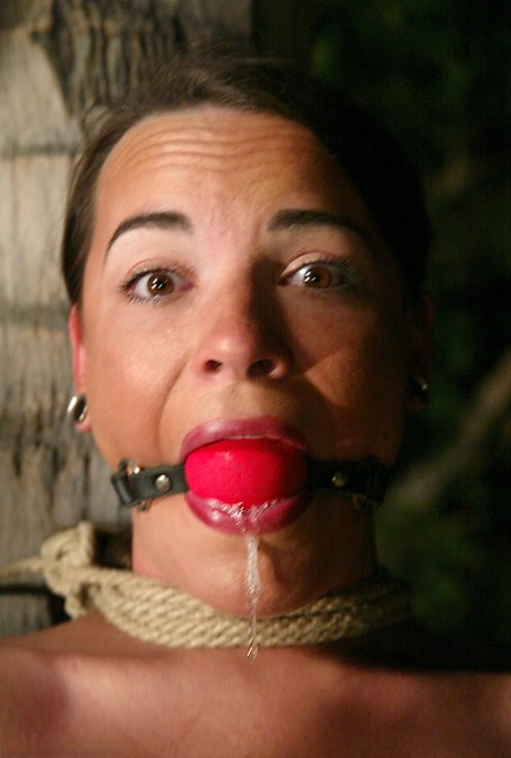 Bound sluts Dee Williams & Dana DeArmond get toyed to orgasms outdoors
