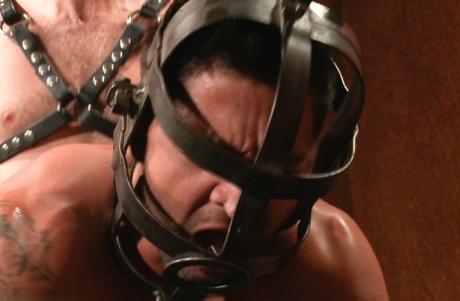 Bound Gods starring Dominic Pacifico, Master Avery Nude XXX