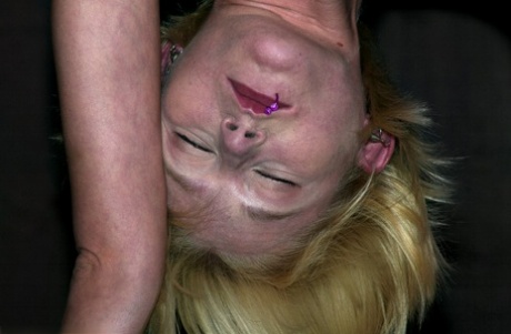 Submissive blonde babe Miss Kitty gets bound upside down and toyed