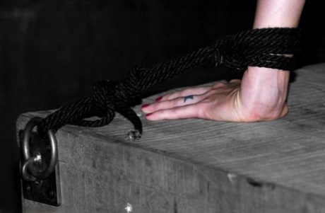 Submissive blonde babe Miss Kitty gets bound upside down and toyed