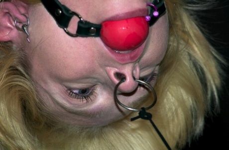 Submissive blonde babe Miss Kitty gets bound upside down and toyed