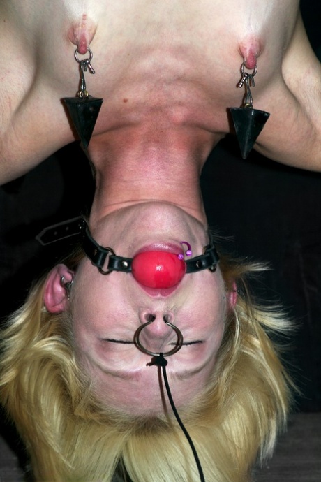 Submissive blonde babe Miss Kitty gets bound upside down and toyed